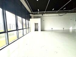 REVV (D22), Factory #612391101